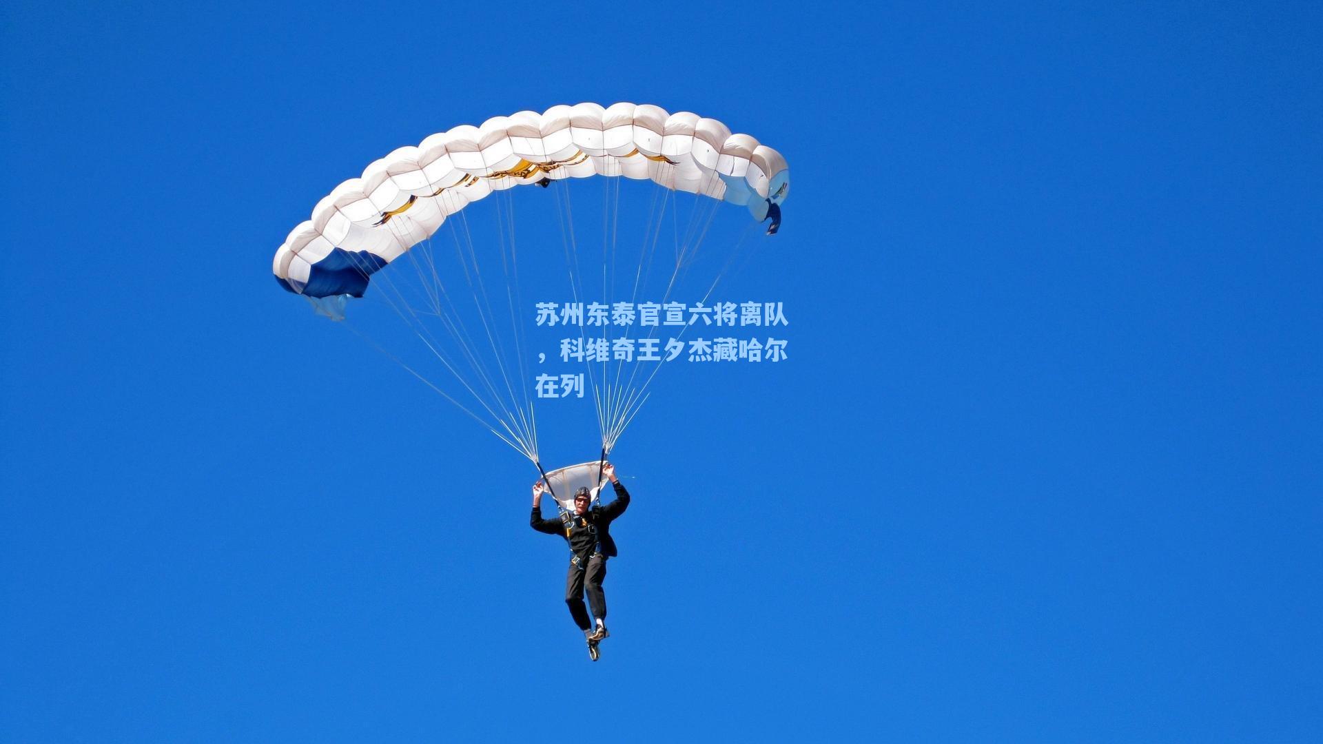 爱游戏体育官网：苏州东泰官宣六将离队，科维奇王夕杰藏哈尔在列