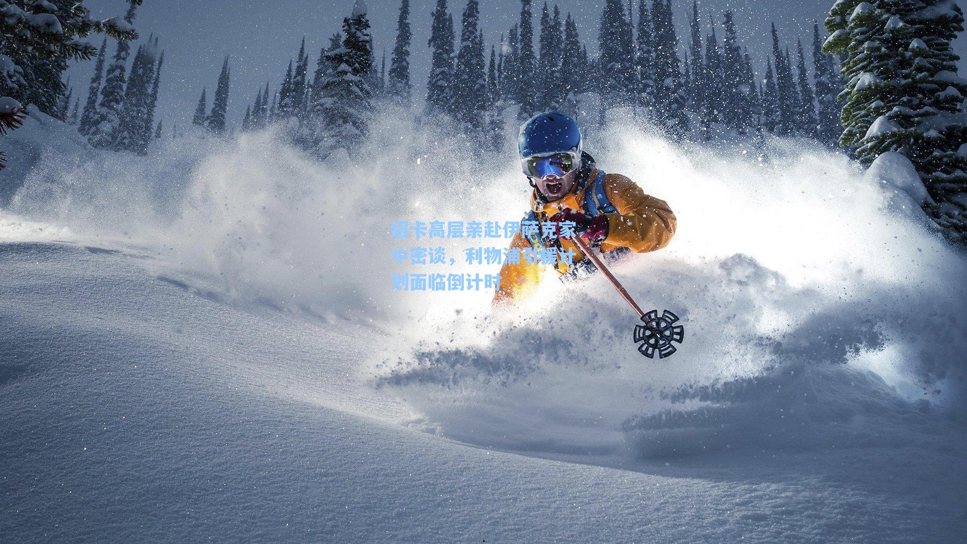 纽卡高层亲赴伊萨克家中密谈,利物浦引援计划面临倒计时