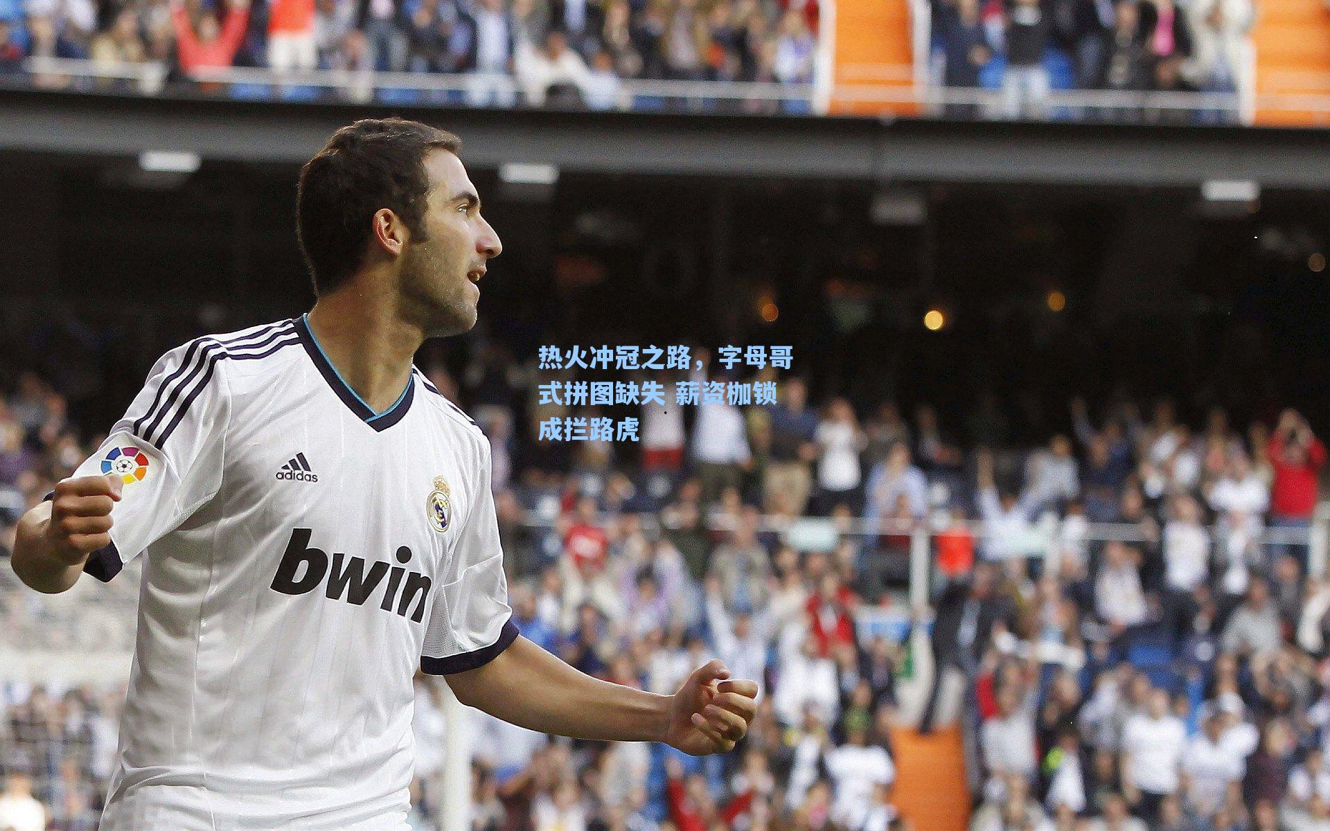 热火冲冠之路,字母哥式拼图缺失 薪资枷锁成拦路虎